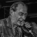 Click to enlarge GutterPunk - Professional Concert Photography